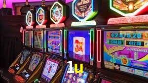 Programa VIP 1u